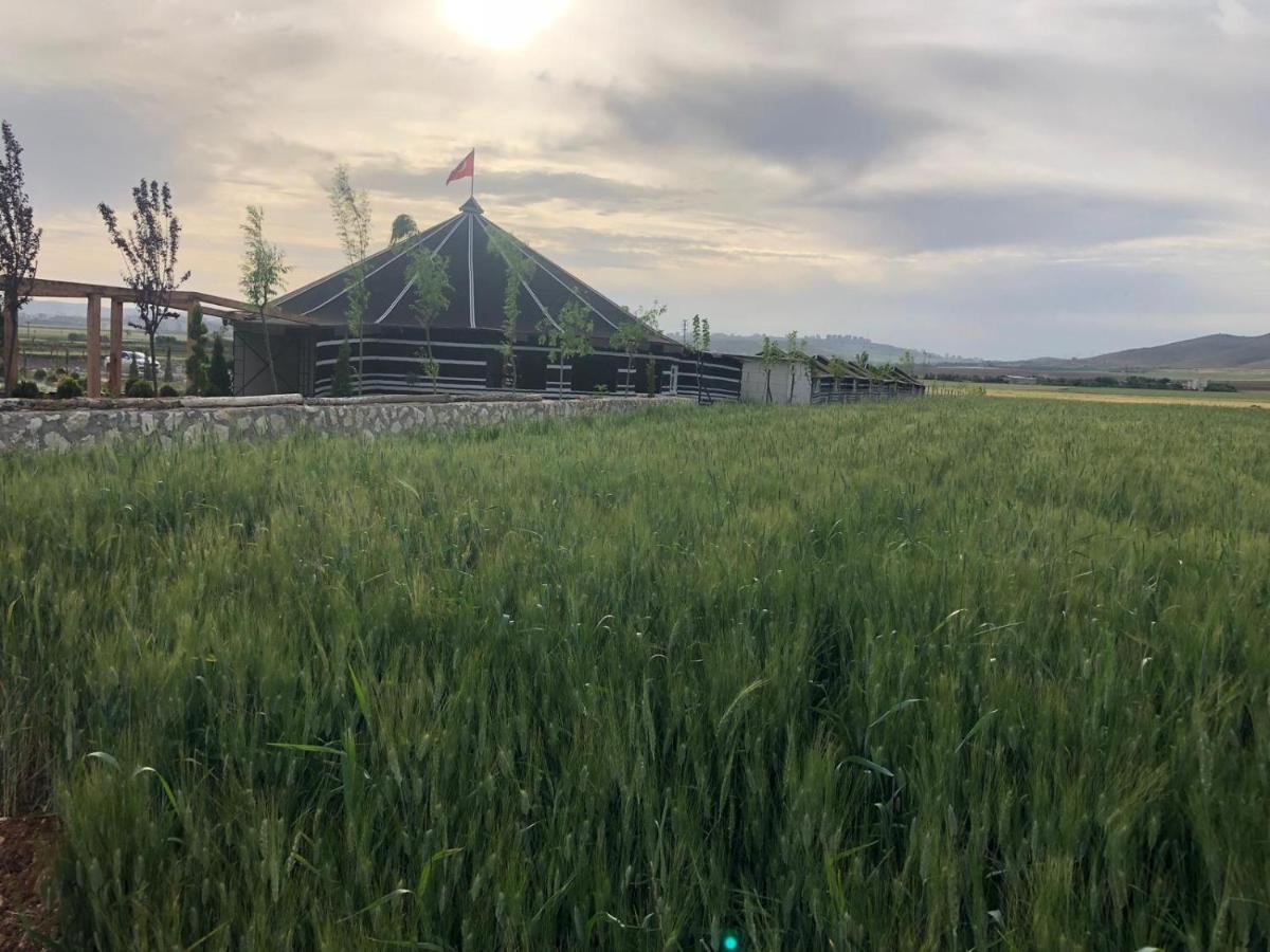 桑尼乌法 Gobeklitepe Cadir Saray酒店 外观 照片